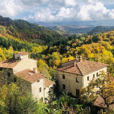 Bio Agriturismo Il Vigno Hostal Caprese Michelangelo Exterior foto