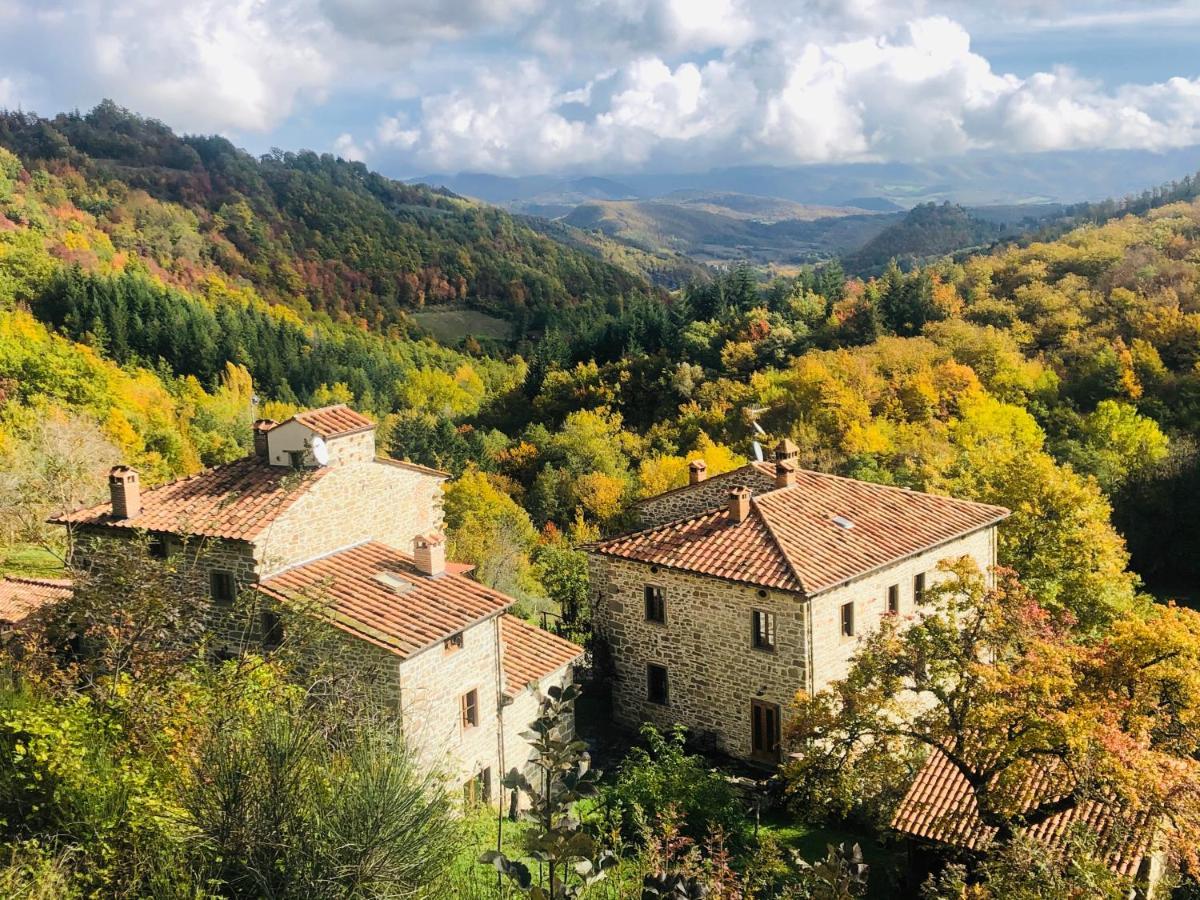 Bio Agriturismo Il Vigno Hostal Caprese Michelangelo Exterior foto