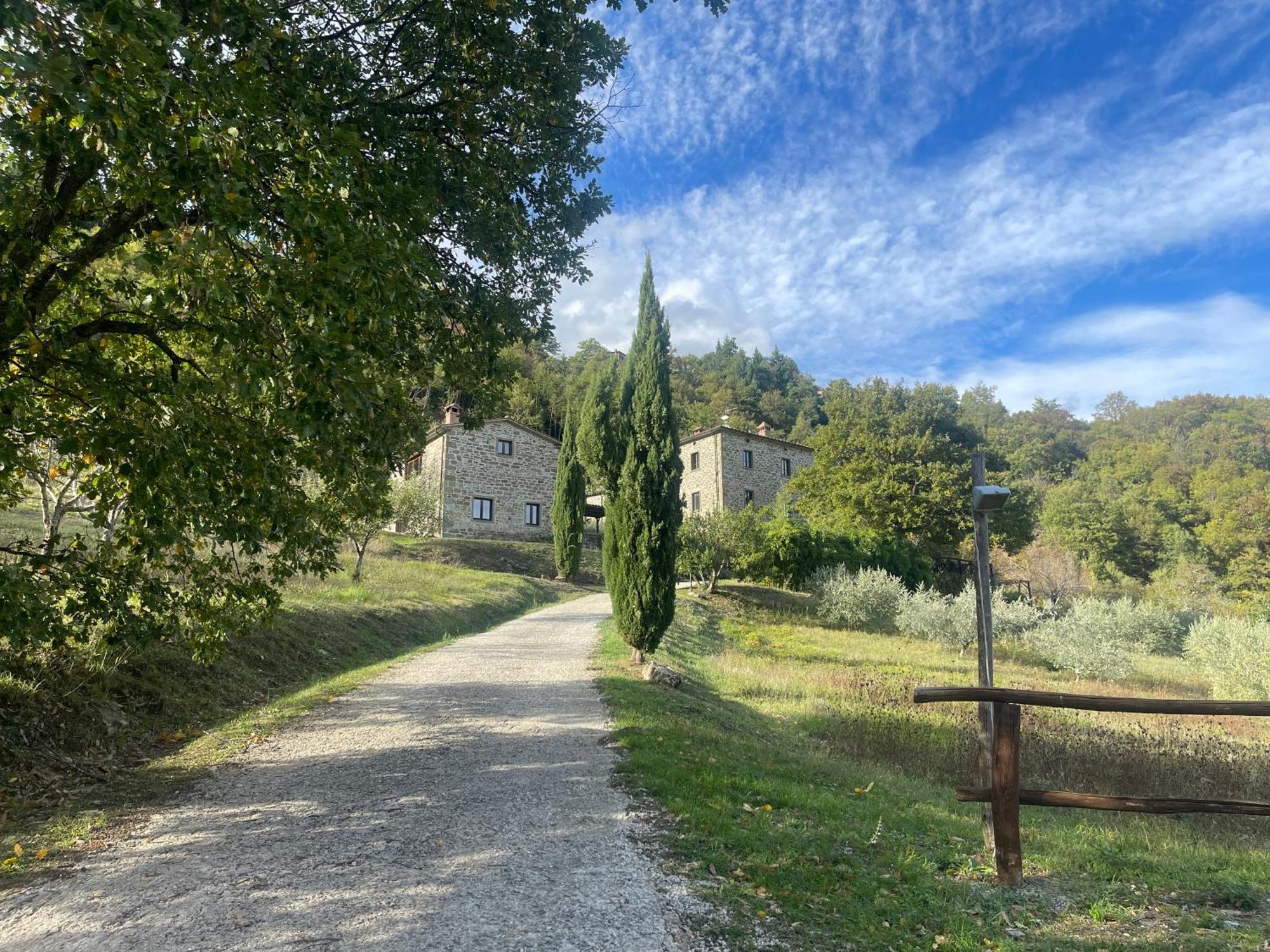 Bio Agriturismo Il Vigno Hostal Caprese Michelangelo Exterior foto