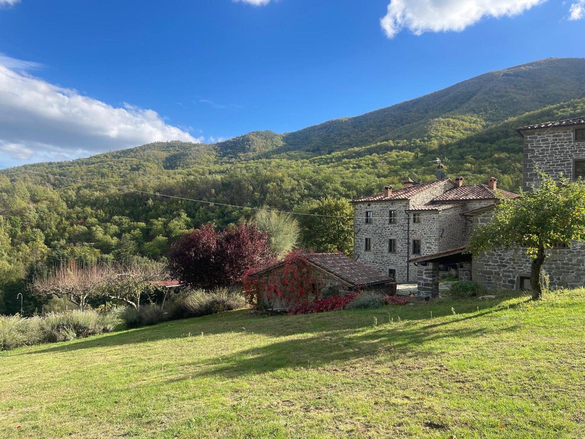 Bio Agriturismo Il Vigno Caprese Michelangelo Exterior foto