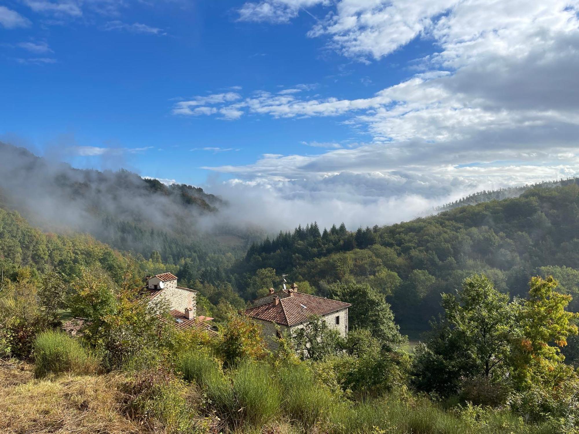 Bio Agriturismo Il Vigno Hostal Caprese Michelangelo Exterior foto