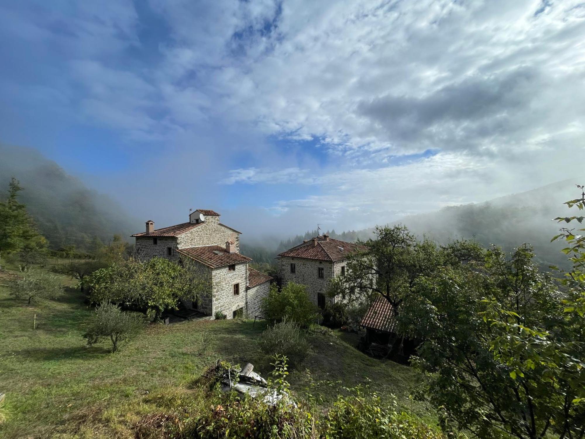 Bio Agriturismo Il Vigno Hostal Caprese Michelangelo Exterior foto