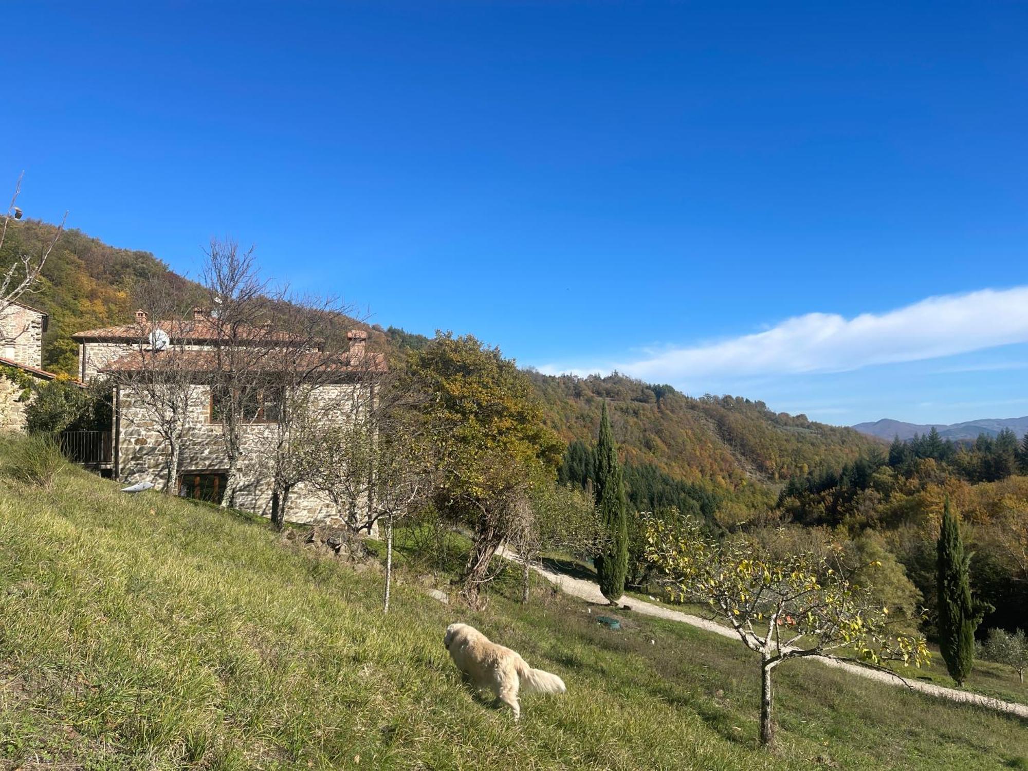 Bio Agriturismo Il Vigno Hostal Caprese Michelangelo Exterior foto