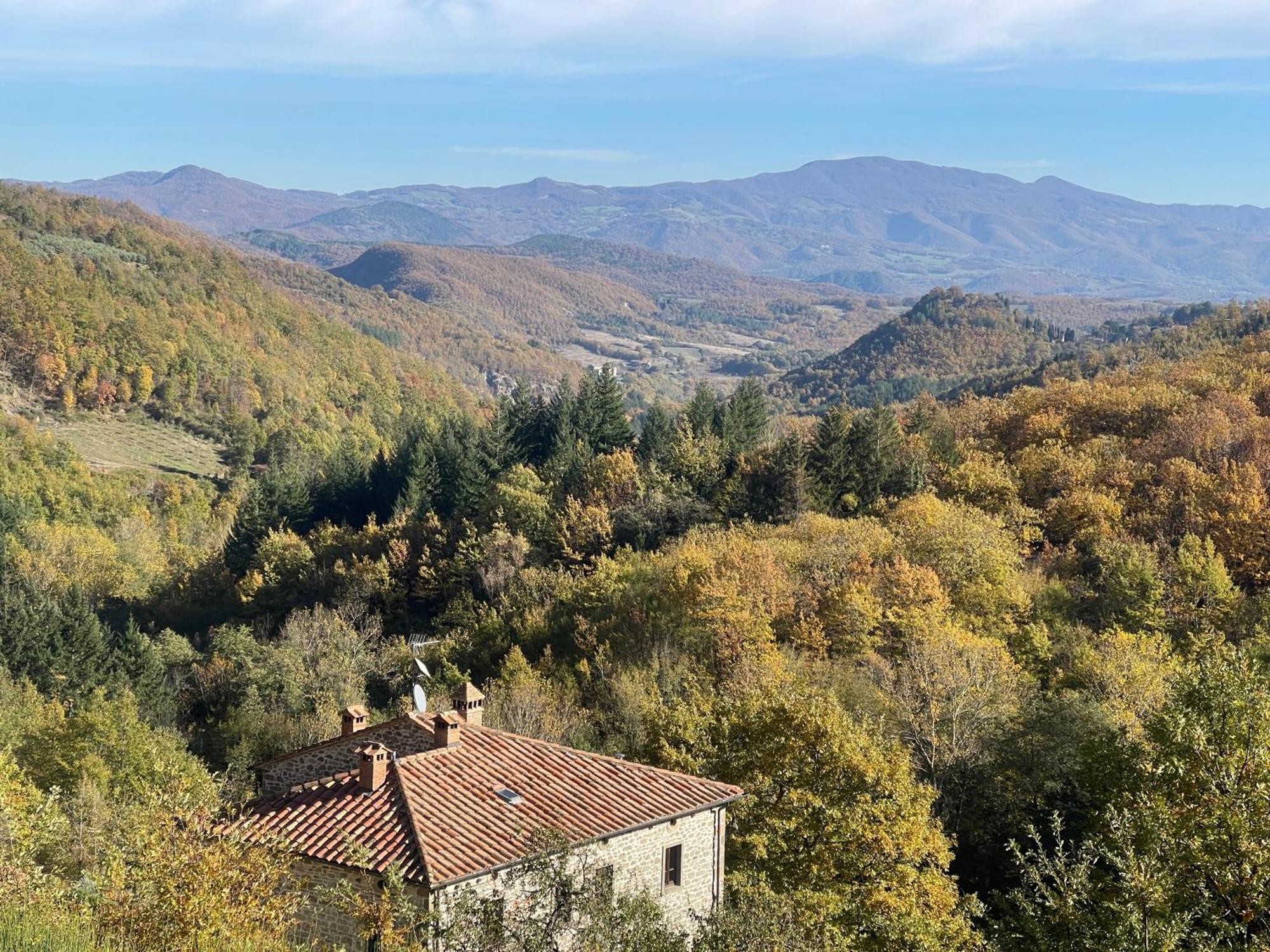 Bio Agriturismo Il Vigno Caprese Michelangelo Exterior foto